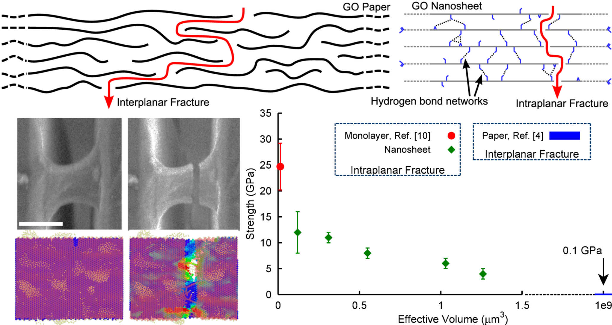 Failure of graphene oxide nanosheet.