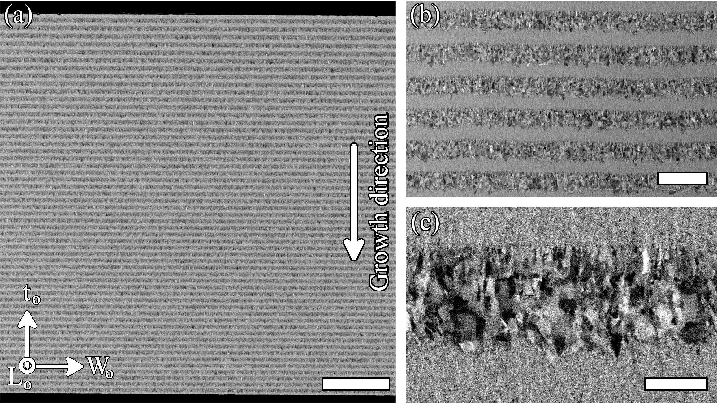 Microstructure of multilayer with modulated grain size